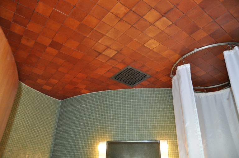 How To Install Bathroom Ceiling Tiles?
