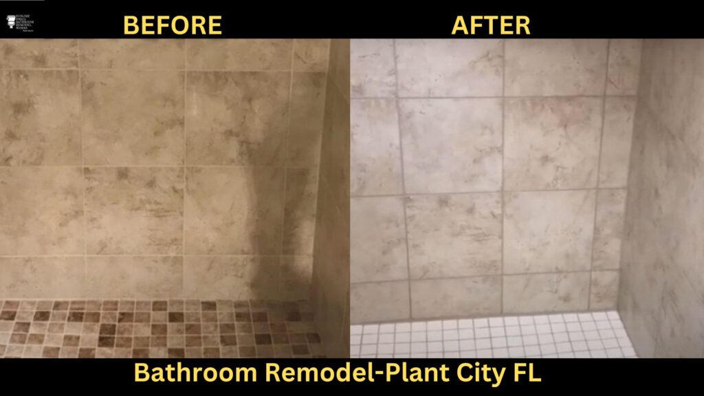 Bathroom Remodel in Plant City FL