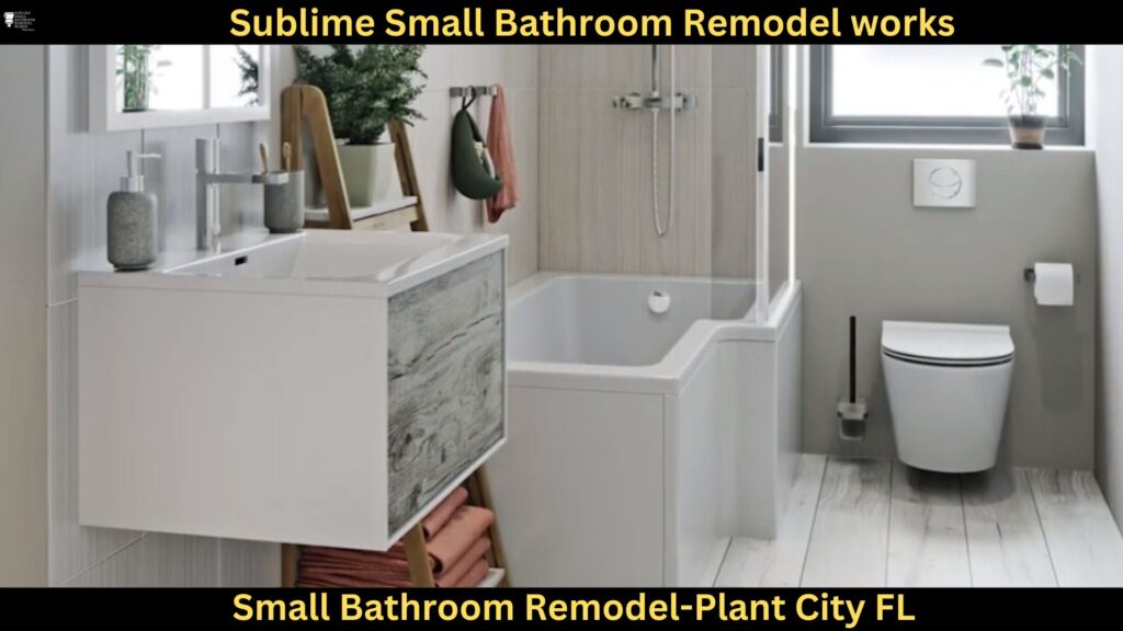 Small Bathroom Remodel Pros in Plant City FL