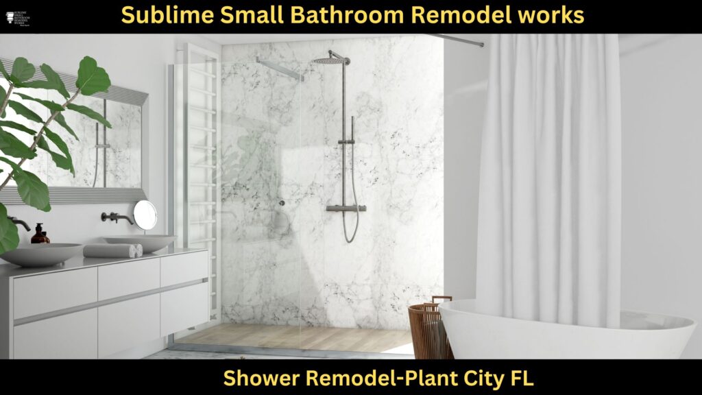Shower Remodel in Plant City FL